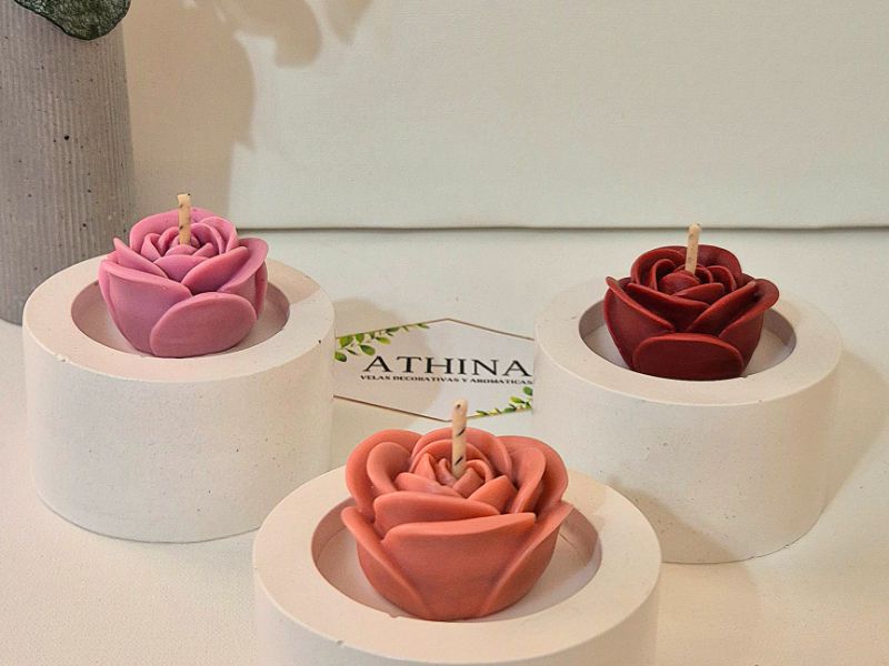 Rosa