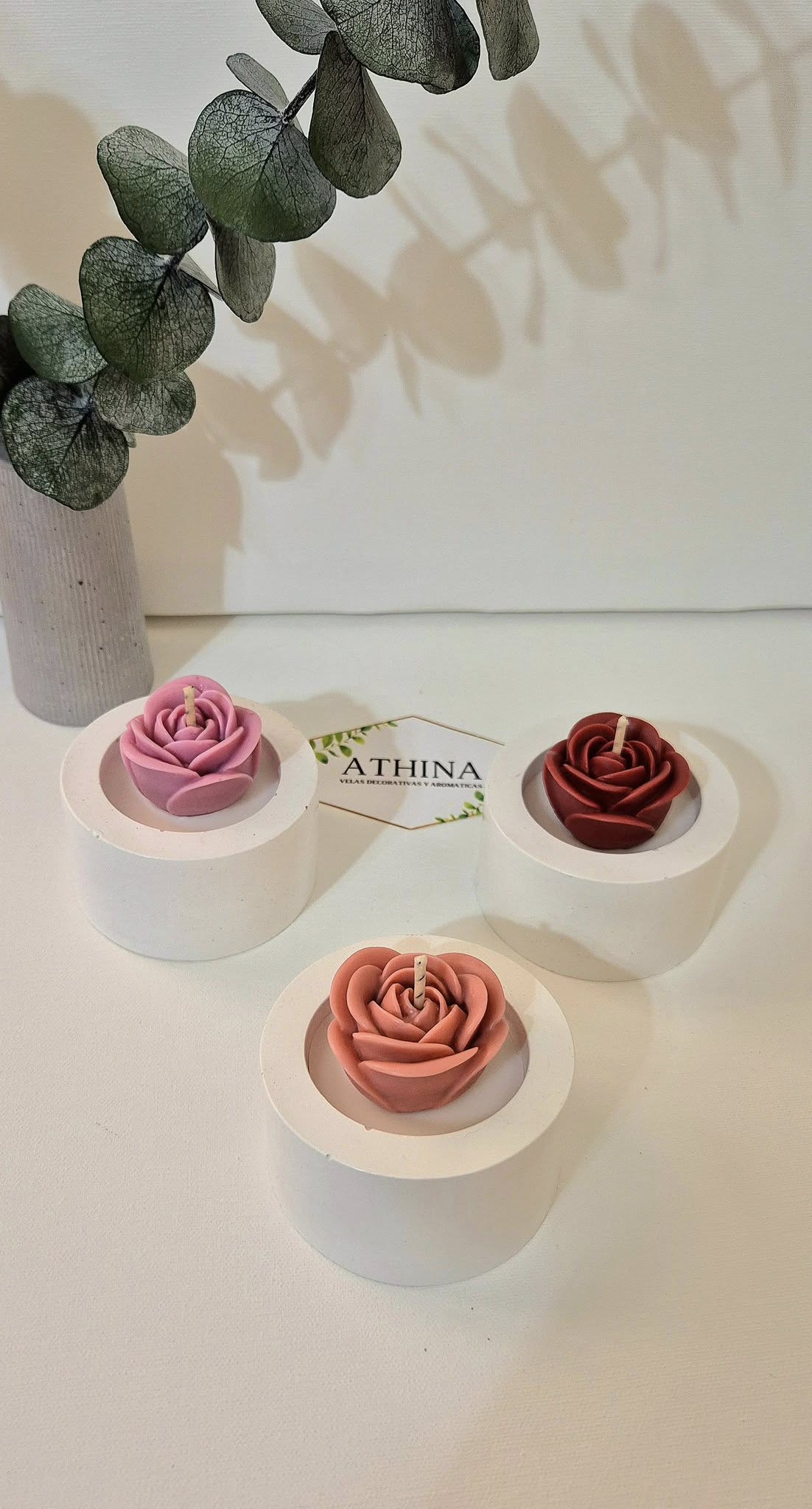 Rosa