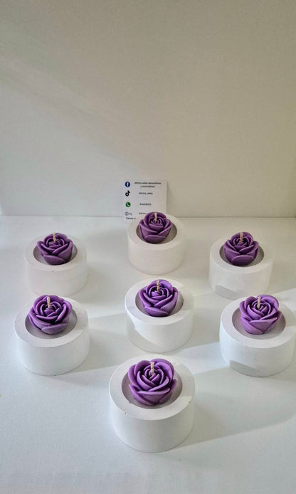 Rosa