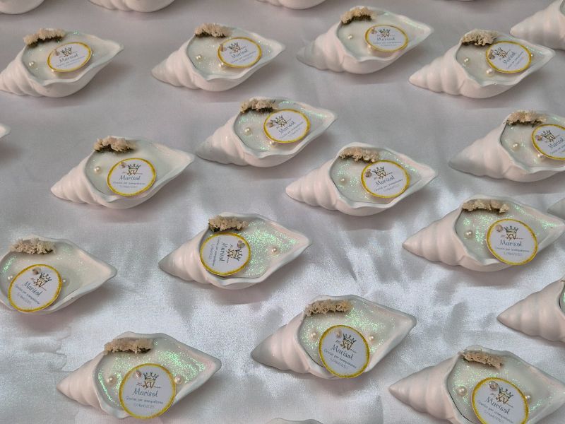 Caracola concha de mar