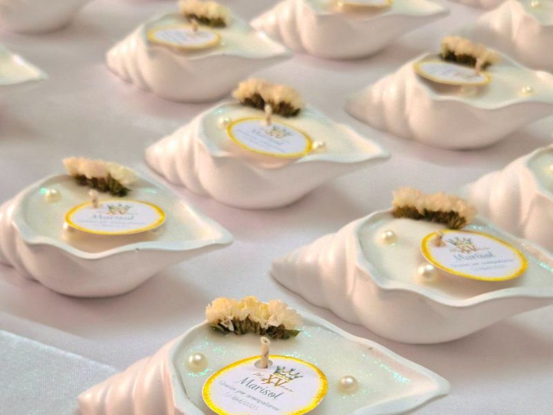 Caracola concha de mar