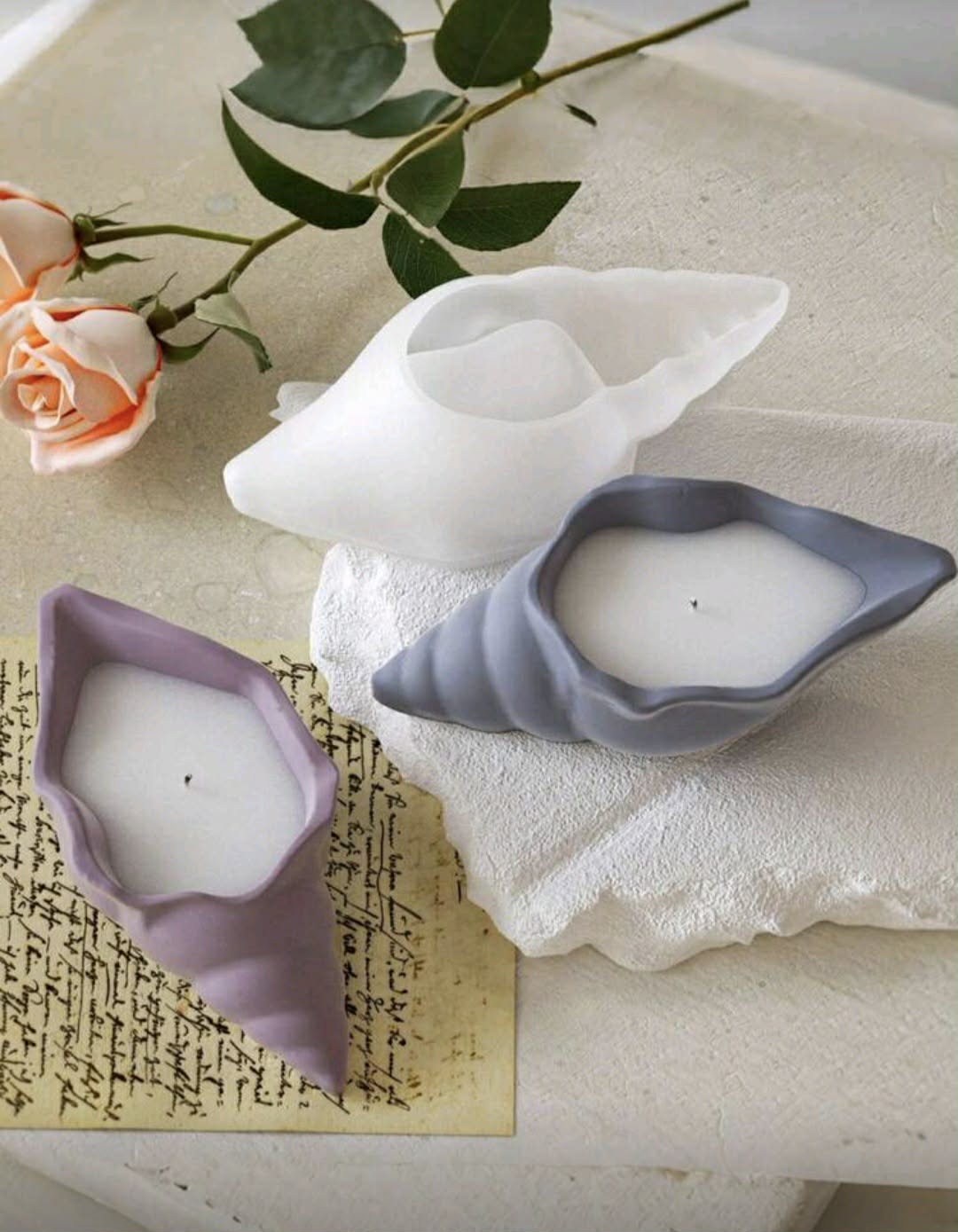 Molde de silicona de f caracol marino