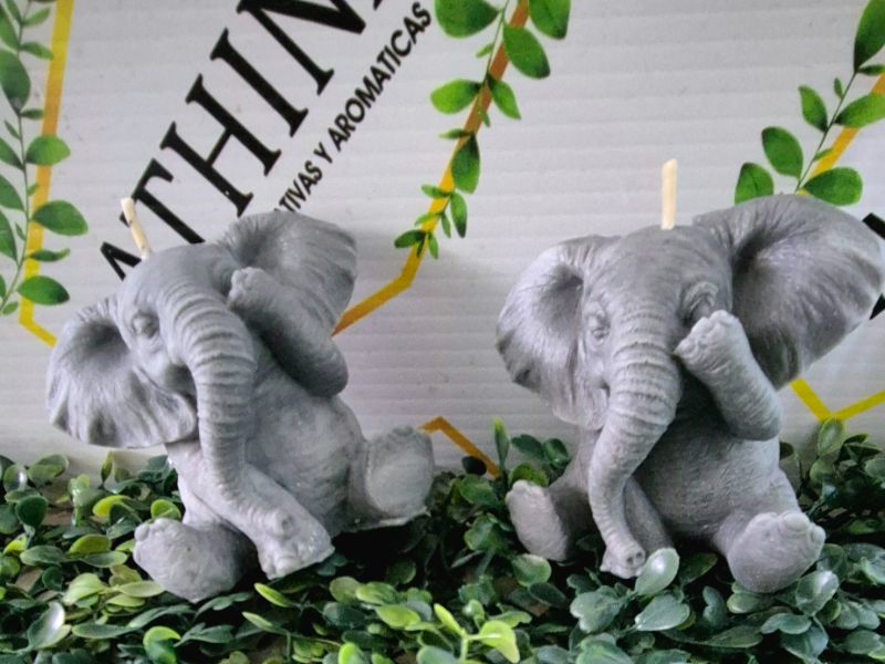Elefante Grande